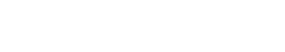 BlackVue — authorized dealer