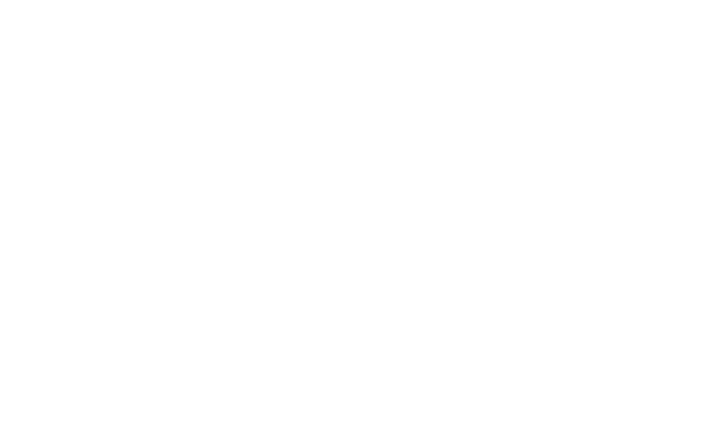 BLAM — authorized dealer